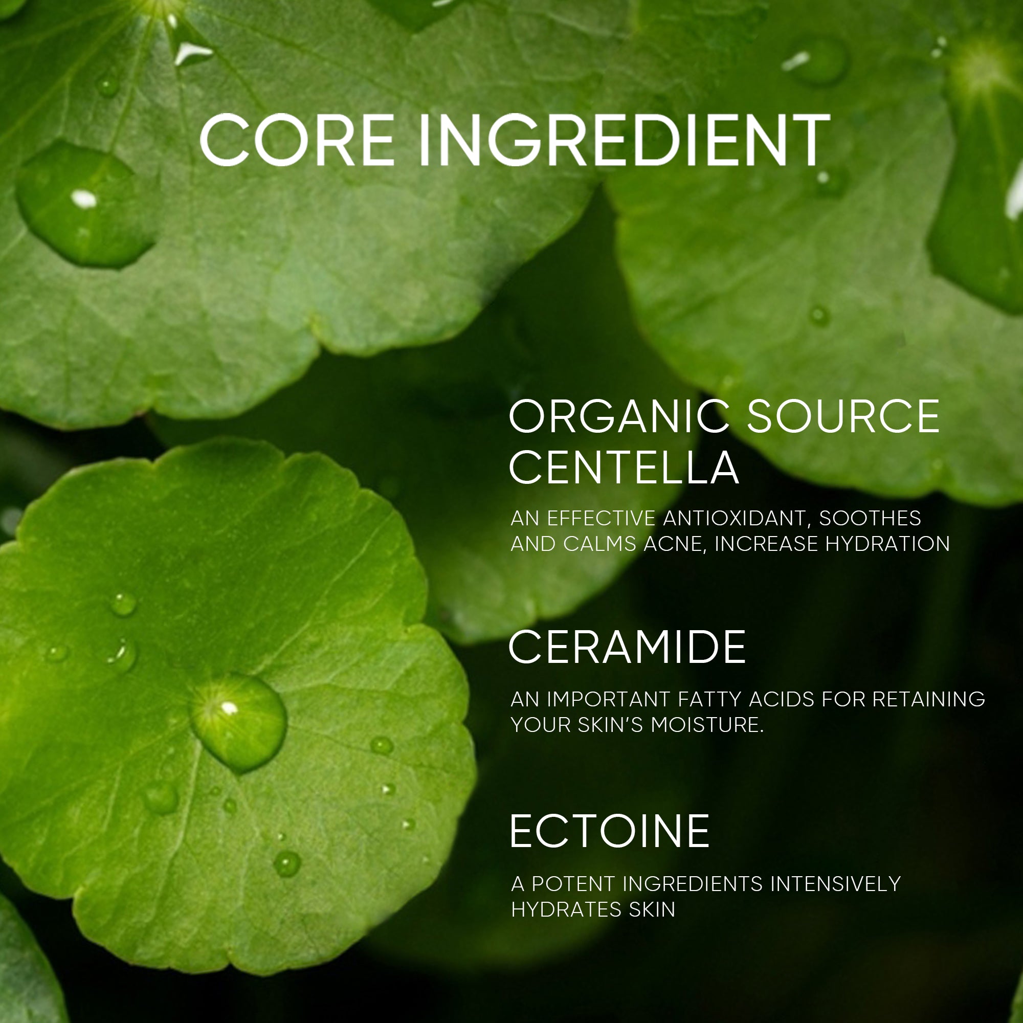 Pure Centella Akne Beruhigender Toner 80ml für sensible & zu Akne neigende Haut
