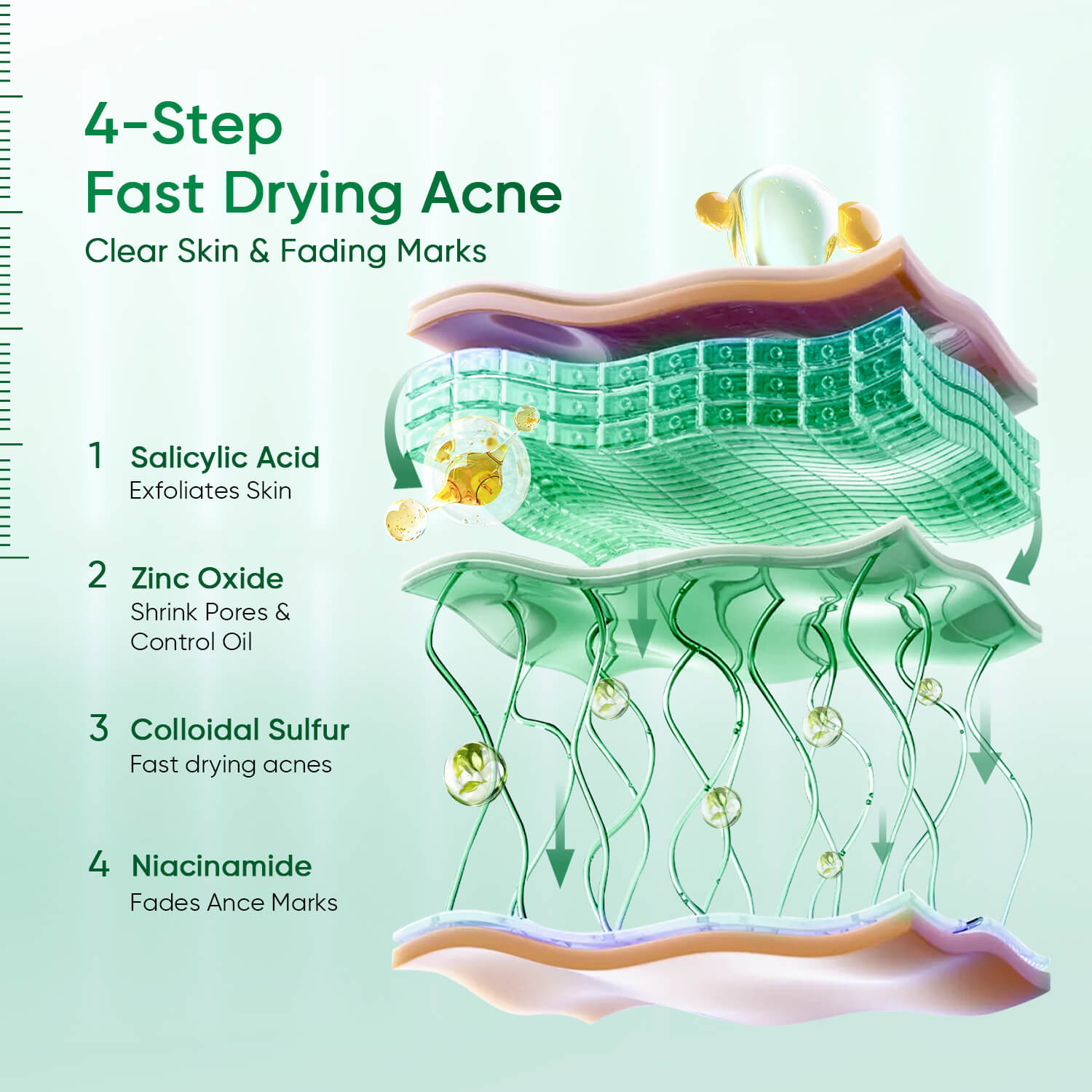 Acne Drying Lotion Overnight Spot Treatment